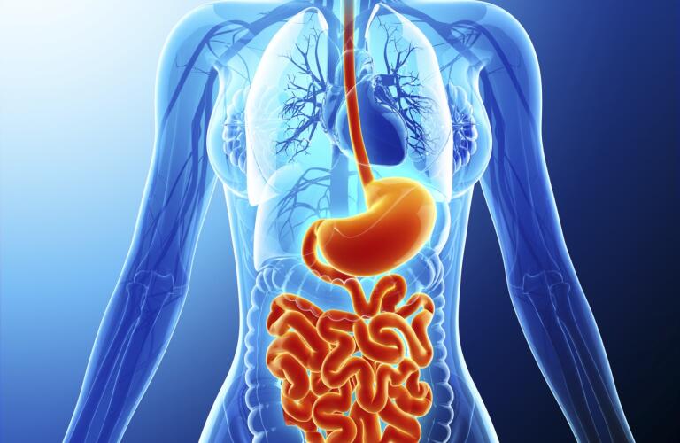 Facing Acidity, IBS, or Liver Problems? A Gastroenterologist in Thane Can Help