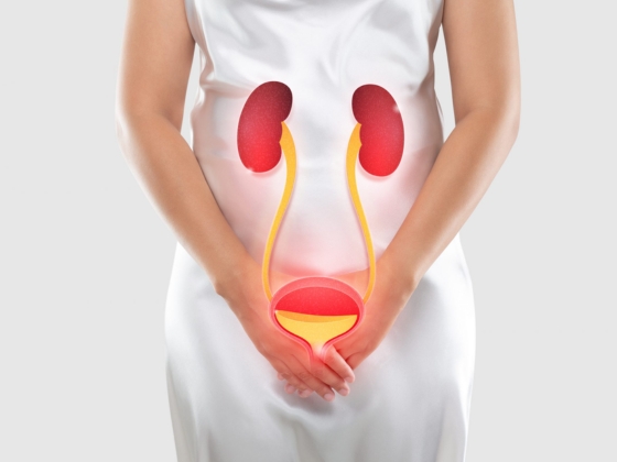 Urology vs. Nephrology: Which Specialist Should You See for Kidney or Urinary Issues?
