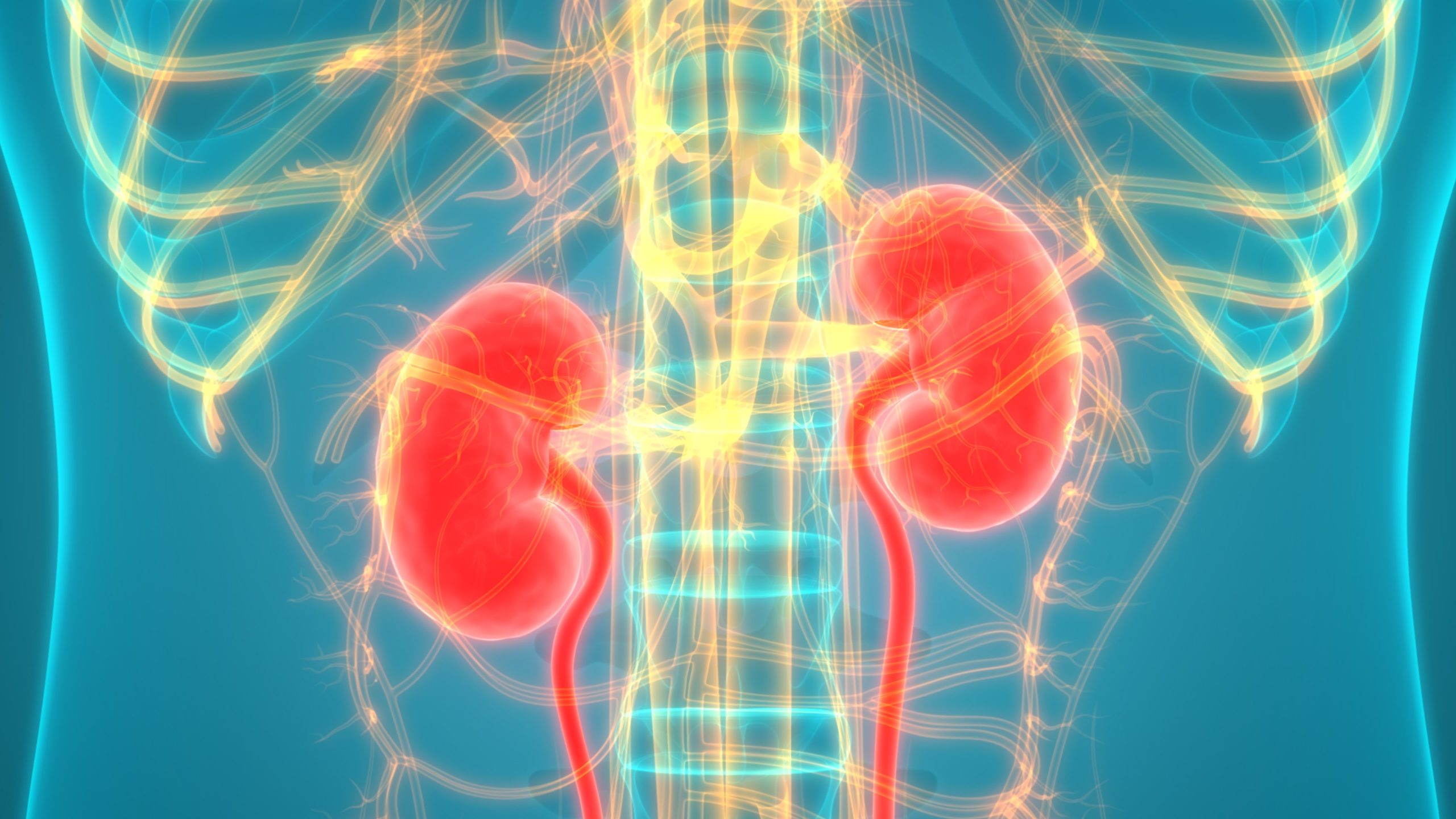 Managing Chronic Kidney Disease: Expert Tips from Nephrologists
