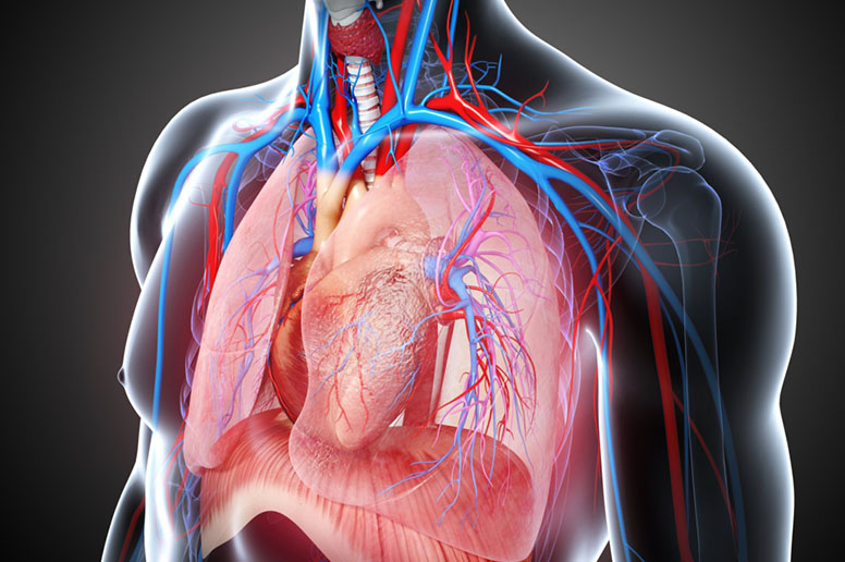 Discover How Thoracic Surgery Can Help You Improve Lung Strength and Better Health